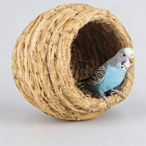 Handwoven Seagrass Bird Nest | Natural Hanging Bird House for Parakeets
